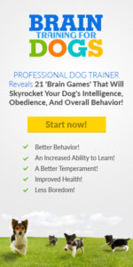 Brain Training for Dogs